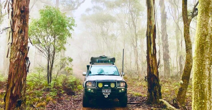 From Sydney: 2-Day Blue Mountains Camping 4WD & River Cruise - Activity Overview