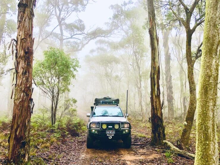 From Sydney: 2-Day Blue Mountains Camping 4WD & River Cruise - Experience Highlights