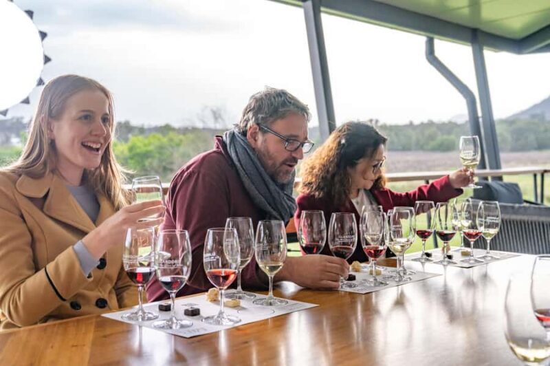 From Sydney: All Inclusive Boutique Hunter Valley Wine Tour - Who Should Consider This Tour?