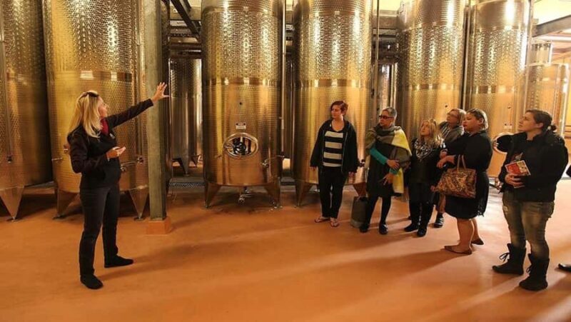 From Sydney: Award-Winning Hunter Valley Wine & Cheese Tour - From Sydney: Award-Winning Hunter Valley Wine & Cheese Tour