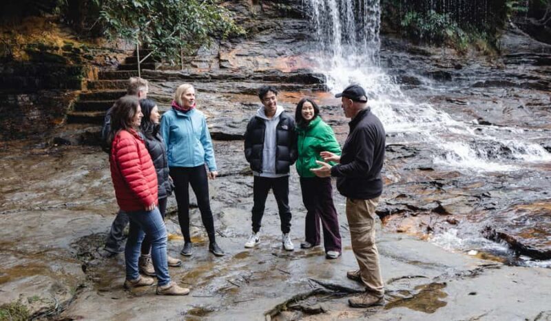 From Sydney: Blue Mountains Bushwalks & Featherdale Tour - Who Will Love This Tour?