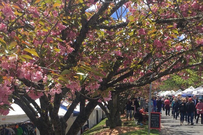 From Sydney Blue Mountains Day Tour and Hop-on, Hop-off Bus Tour - The Sum Up