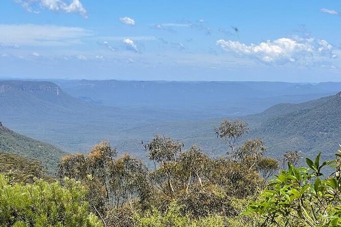 From Sydney: Blue Mountains & Featherdale - Day Tour - Contact and Booking Details