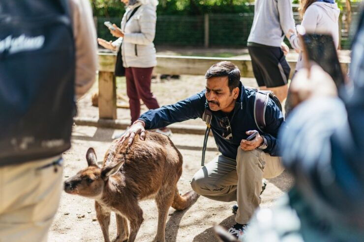 From Sydney: Blue Mountains Full-Day Trip - Experiences and Attractions
