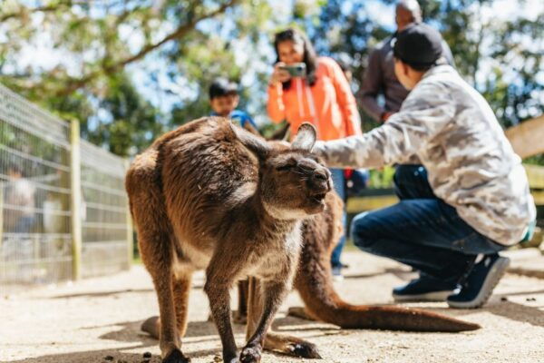 From Sydney: Blue Mountains Full-Day Trip - Directions