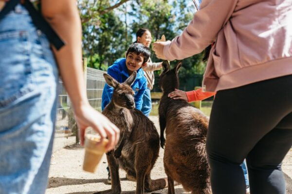 From Sydney: Blue Mountains Full-Day Trip - Common Questions