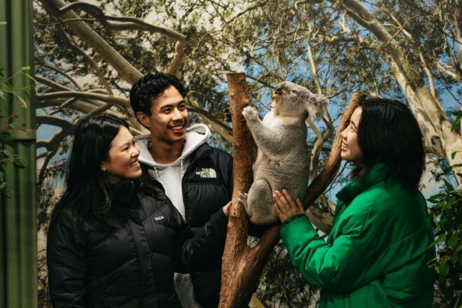 From Sydney: Blue Mountains Nature and Wildlife Tour - Experience the Blue Mountains National Park