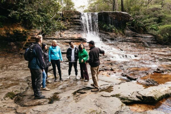 From Sydney: Blue Mountains Nature and Wildlife Tour - Common Questions