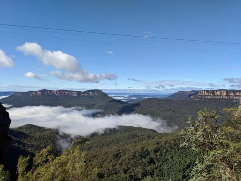 From Sydney: Blue Mountains Private Tour with Wildlife Park - What the Reviews Tell Us: Honest Perspectives