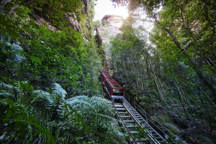From Sydney: Blue Mountains, Scenic World All Inclusive Tour - Activity Details