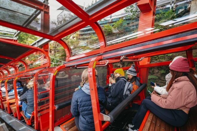 From Sydney: Blue Mountains, Scenic World All Inclusive Tour - Free Cancellation and Flexible Payment