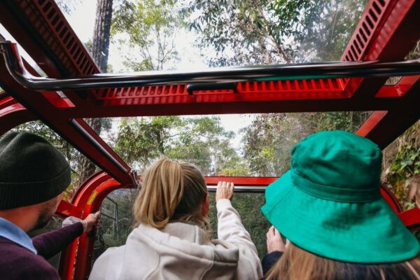 From Sydney: Blue Mountains, Scenic World All Inclusive Tour - Review Summary