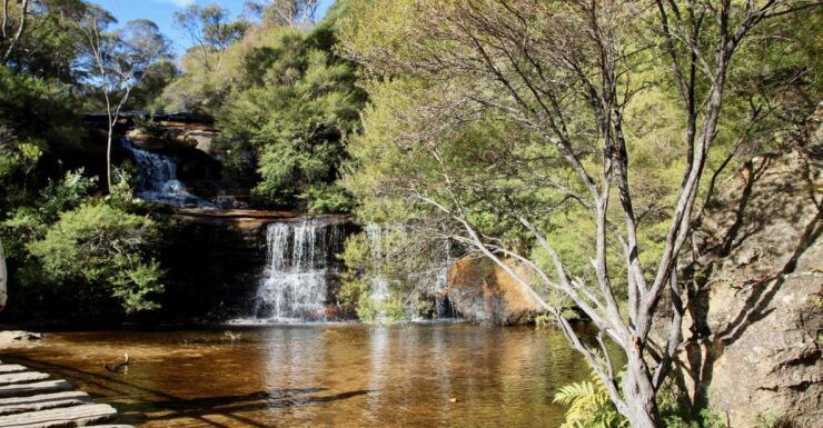 From Sydney: Blue Mountains, Sydney Zoo & Scenic World Tour - Activity Details