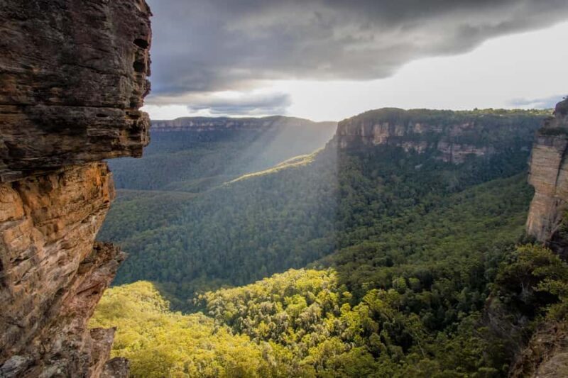 From Sydney: Blue Mountains, Sydney Zoo & Walking Tour - Why This Tour Works Well