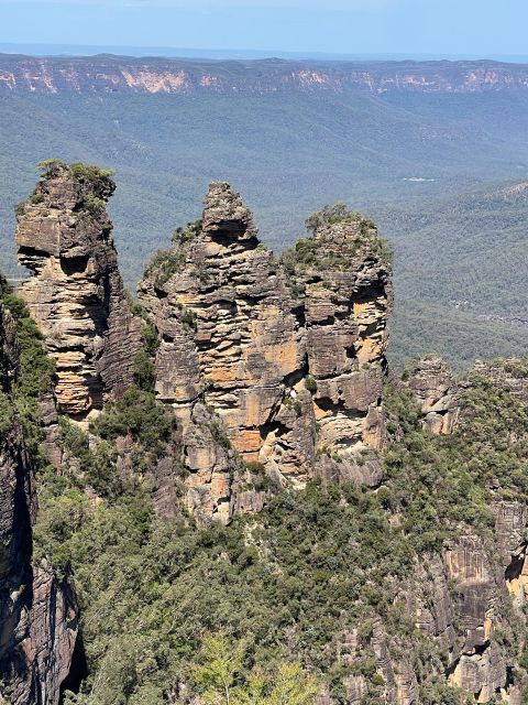 From Sydney: Blue Moutains and Featherdale Day Tour - Booking and Payment Details