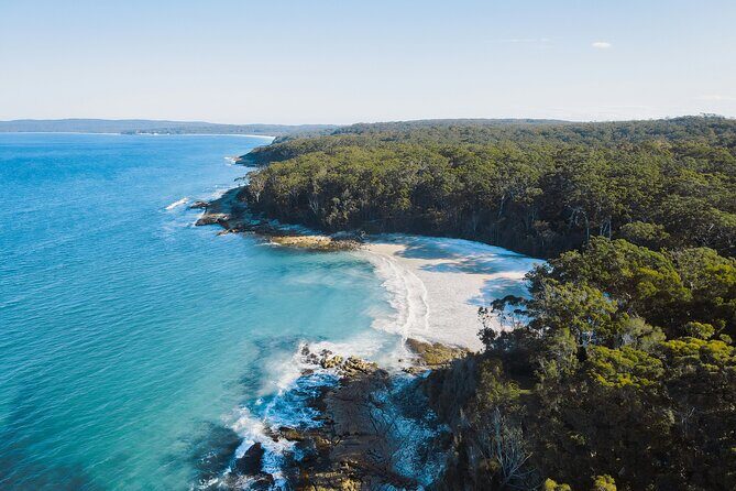 From Sydney: Day Tour to Jervis Bay with Beaches and Koalas - Good To Know