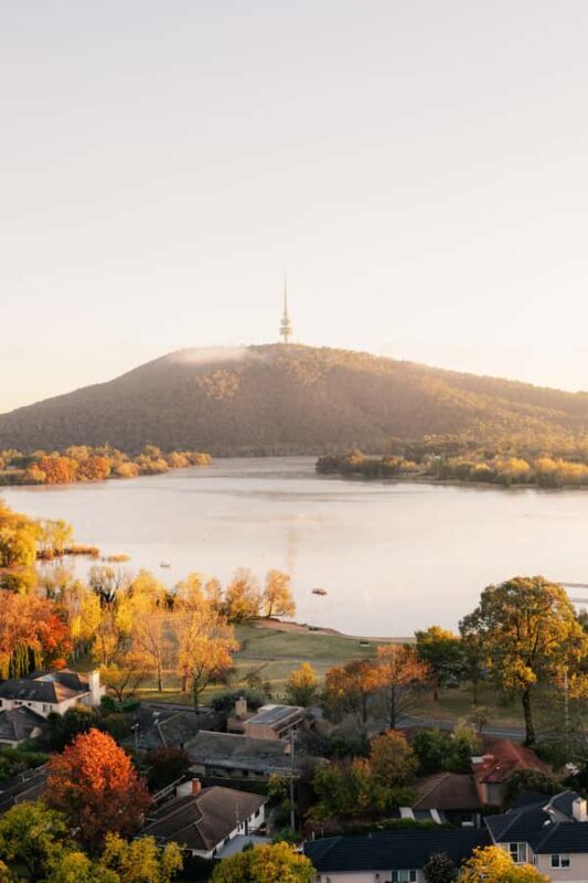 From Sydney: Explore Canberra Includes Buffet Lunch - The Sum Up