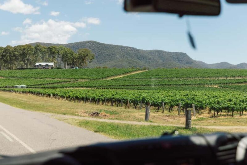 From Sydney: Full-Day Hunter Valley Wine Tour & Lunch - Good To Know