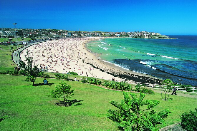 From Sydney: Full Day Tour of Golden Beaches and Ocean Vistas - Reviews