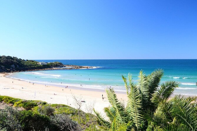 From Sydney: Full Day Tour of Golden Beaches and Ocean Vistas - Pricing