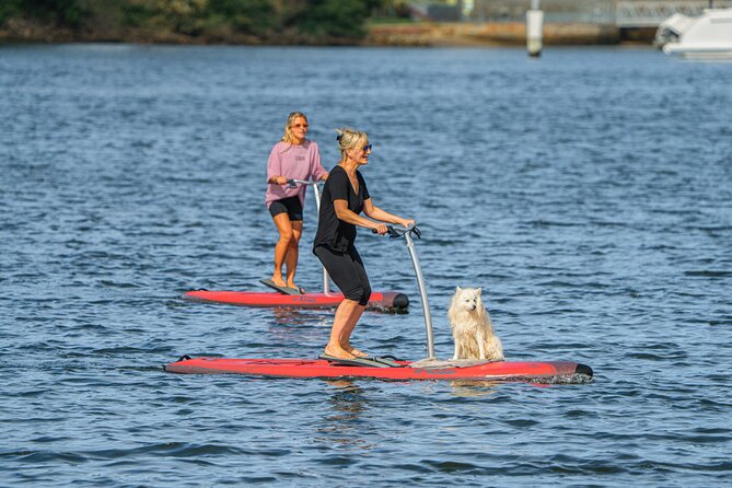 From Sydney: Full Day Tour of Golden Beaches and Ocean Vistas - Hotel Pickup and Drop-off