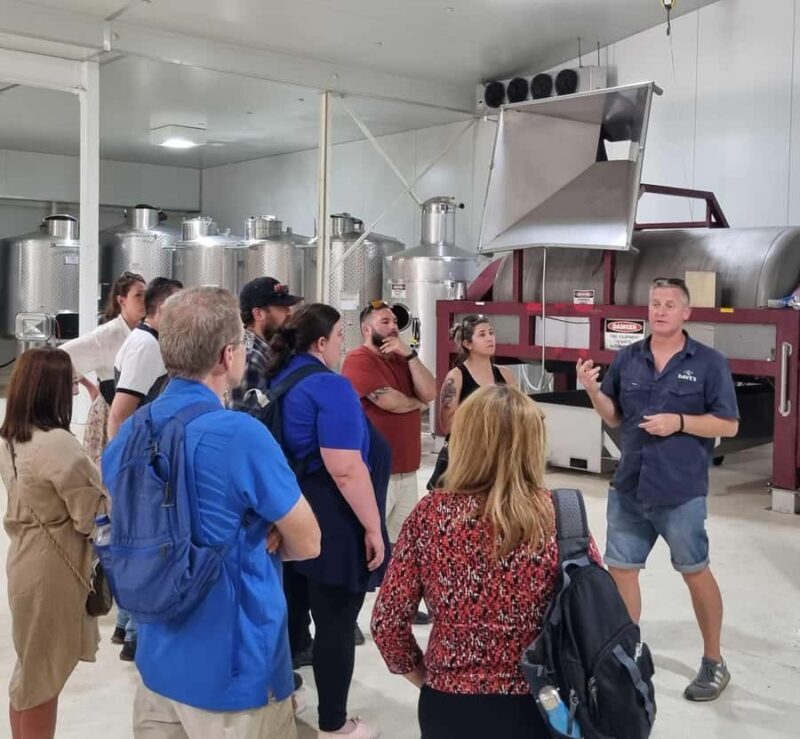 From Sydney: Hunter Valley Beer & Wine Group Tour - Good To Know