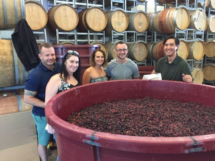 From Sydney: Hunter Valley Wine, Gin, & Food Tastings Tour - Activity Details