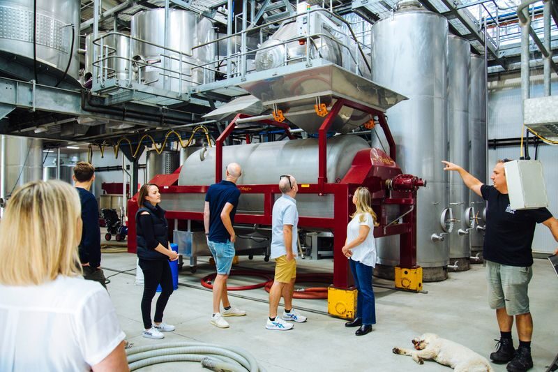 From Sydney: Hunter Valley Wine Tasting Tour - Who will get the most from this tour