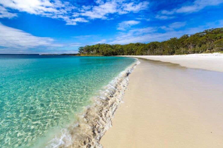 From Sydney: Jervis Bay Dolphin Cruise With BBQ Lunch - Activity Details