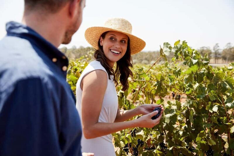From Sydney: Luxury Hunter Valley Wine Tour with Fine Dining - Frequently Asked Questions