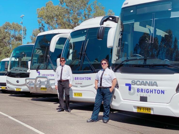 From Sydney: Port Stephens Dolphin Cruise & 4WD Sandboarding - Activity Overview