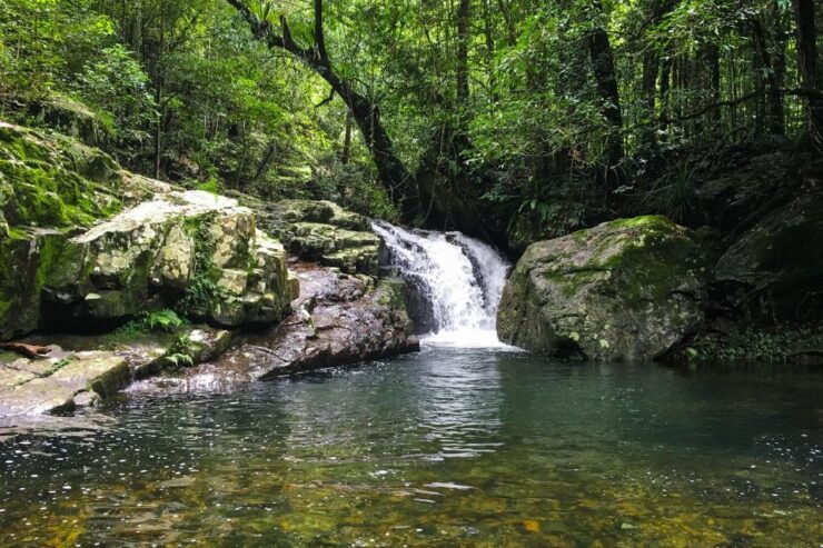 From Sydney Private Blue Mountains Tour Waterfalls & Views - Activity Highlights and Inclusions
