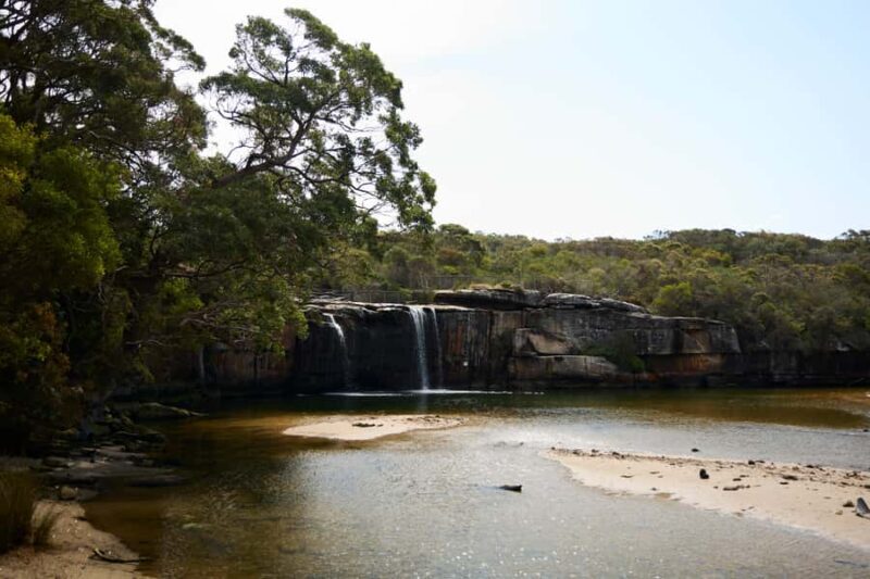 From Sydney: Royal National Park Private Tour - Who Should Book This Tour?