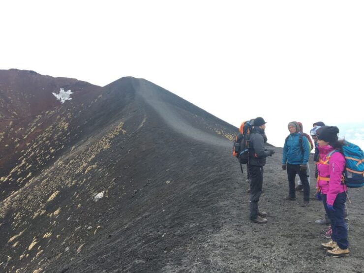 From Syracuse: Etna Tour With Light Lunch and Wine Tasting - Experience Highlights