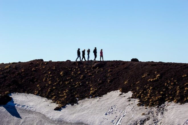 From Syracuse: Etna Volcano & Zafferana Etnea Private Tour - Booking Information