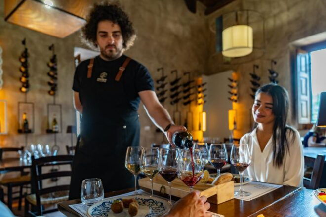 From Syracuse: Mt. Etna Trekking Day Trip With Wine Tasting - Full Description