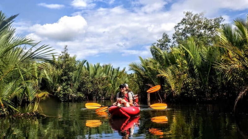 From Tagbilaran City/Panglao Island: Bohol Mangrove Kayaking - Good To Know