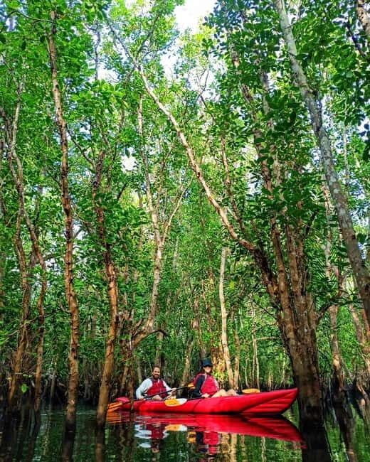 From Tagbilaran City/Panglao Island: Bohol Mangrove Kayaking - Final Words