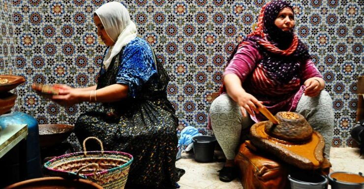 From Taghazout: Agadir Markets & Argan Oil Guided Tour - Language and Guide Information