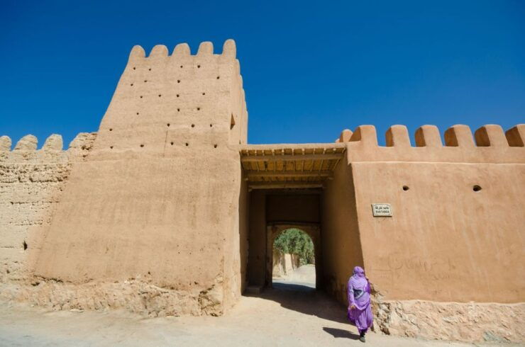 From Taghazout: Massa Desert and Tiznit Visit With Lunch - Booking and Logistics