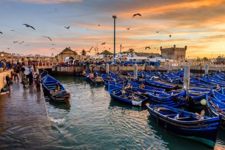 From Taghazout: Medina of Essaouira Guided Day Trip - Experience Highlights