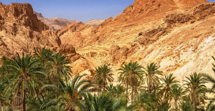 From Taghazout: Paradise Valley Natural Atlas Guided Tour - Experience Highlights