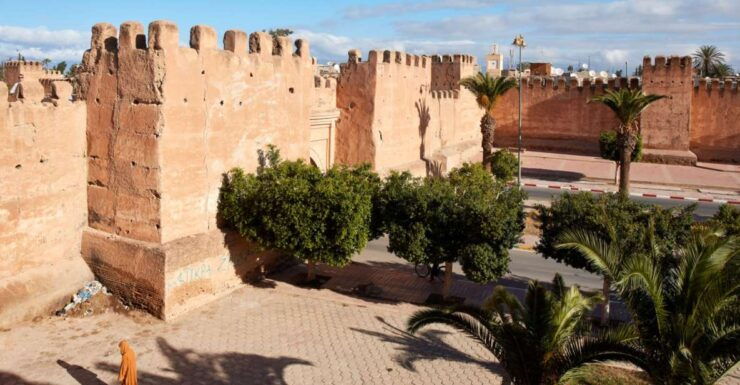 From Taghazout: Taroudant and Tiout Oasis Guided Tour - Tour Details