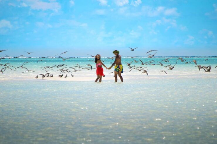 From Tahiti: Tetiaroa Island Tour by Sailing Catamaran - Tour Details