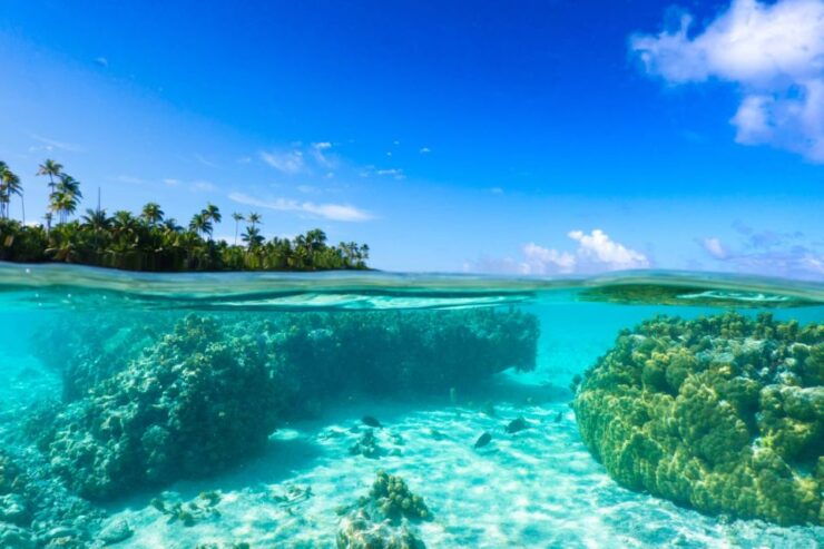 From Tahiti: Tetiaroa Island Tour by Sailing Catamaran - Itinerary Highlights