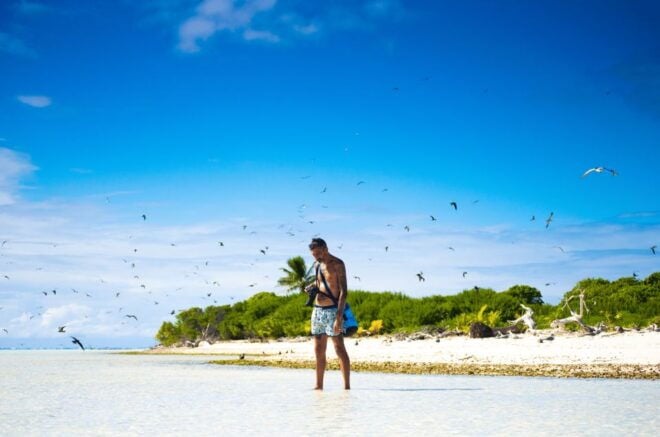 From Tahiti: Tetiaroa Island Tour by Sailing Catamaran - Full Description