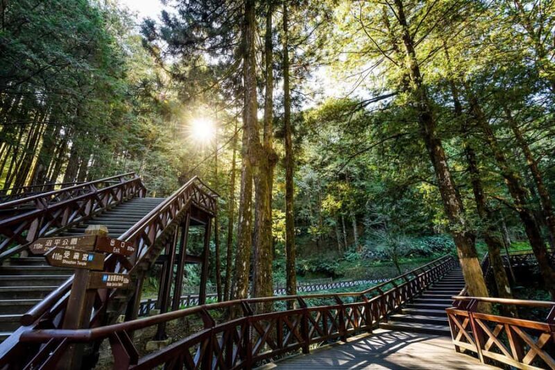 From Taipei: Alishan 2 Days Private Tour - The Itinerary Breakdown: What You Can Expect
