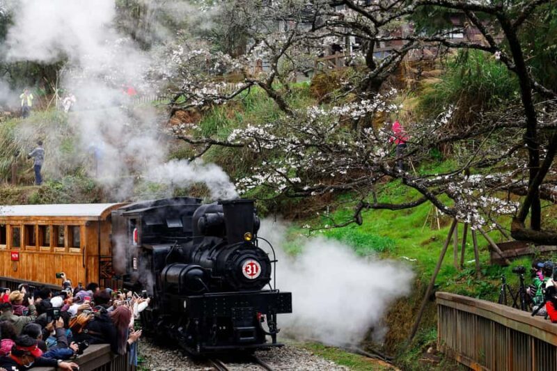 From Taipei: Alishan 2 Days Private Tour - Final Thoughts: Who Will Love This Tour?