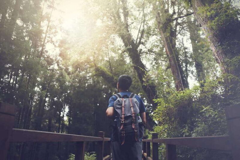 From Taipei City: 3-Day Sun Moon Lake & Alishan Private Tour - Good To Know