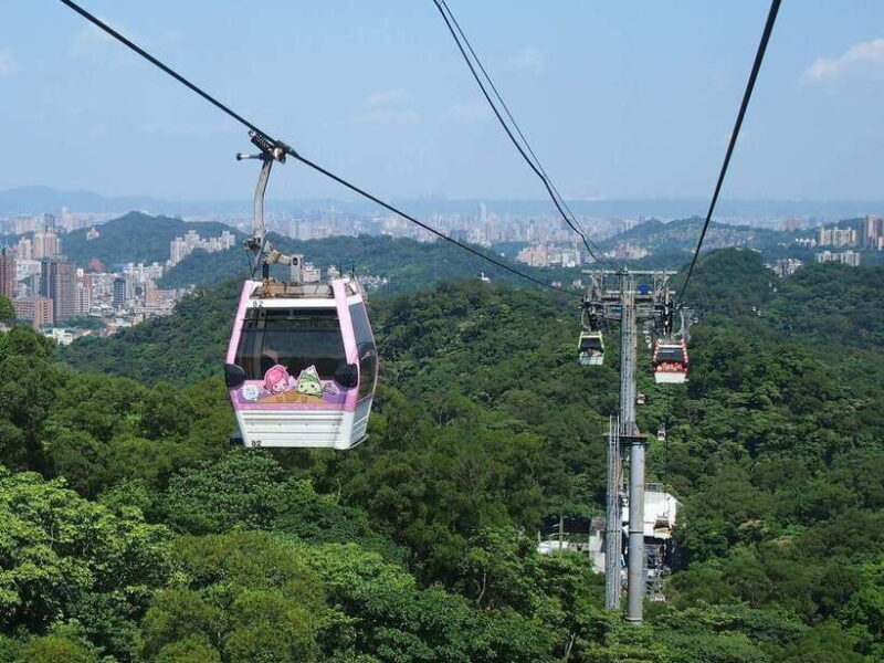 From Taipei: Pinglin Tea Culture and Maokong Guided Day Tour - Final Thoughts: Who Is This Tour For?